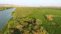 Nowruzlu Wetland