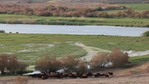 Nowruzlu Wetland