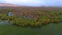 Nowruzlu Wetland