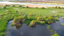 Nowruzlu Wetland