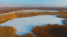 Nowruzlu Wetland